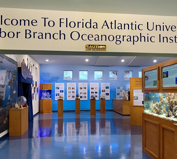 fau-harbor-branch-ocean-discovery-visitors-center-photo